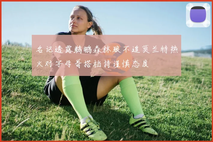名记透露鹈鹕森林狼不追莫兰特热火对字母哥搭档持谨慎态度