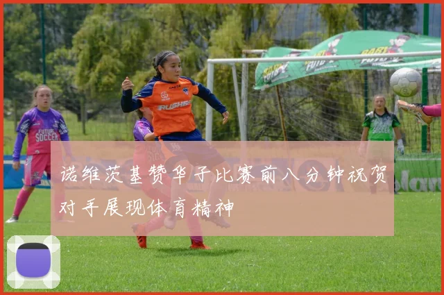 诺维茨基赞华子比赛前八分钟祝贺对手展现体育精神